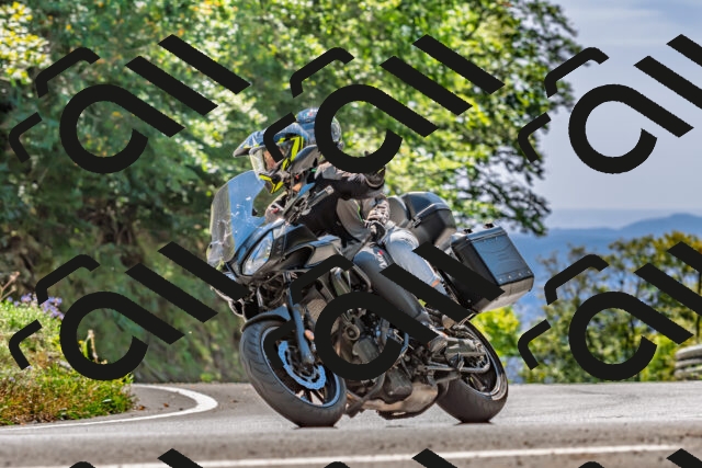 202509201349-DSC_1414_d2_