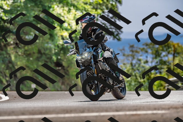 202509201349-DSC_1418_d2_