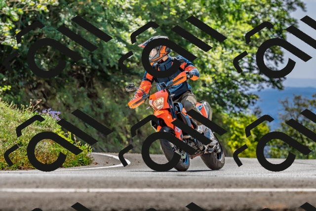 202509201350-DSC_1421_d2_