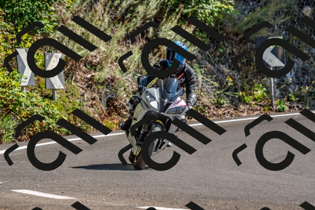 202509201411-DSC_1486_d2_