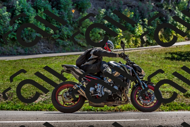 202509201411-DSC_1489_d2_