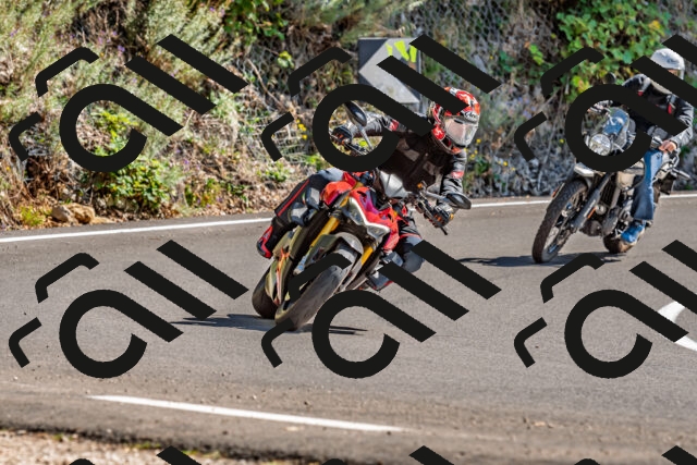 202509201416-DSC_1509_d2_