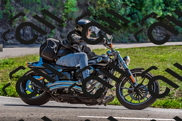 202509201417-DSC_1519_d2_