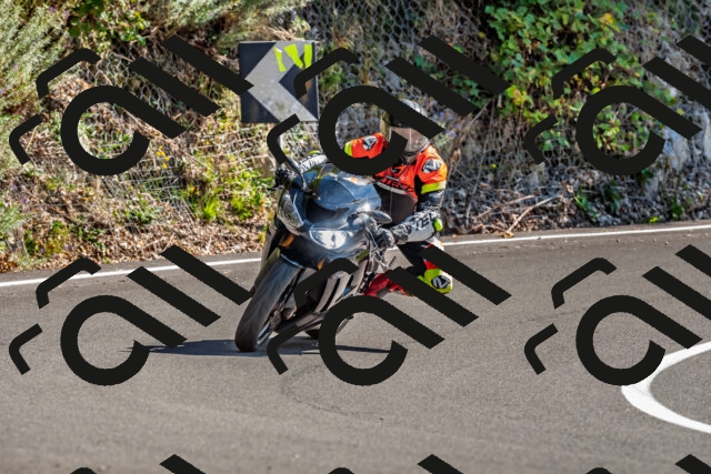 202509201423-DSC_1548_d2_