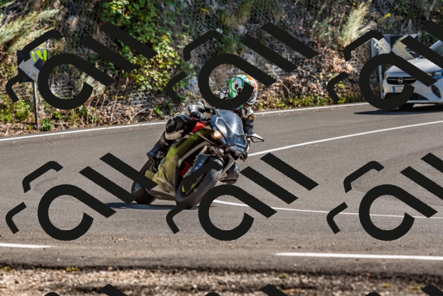 202509201435-DSC_1584_d2_