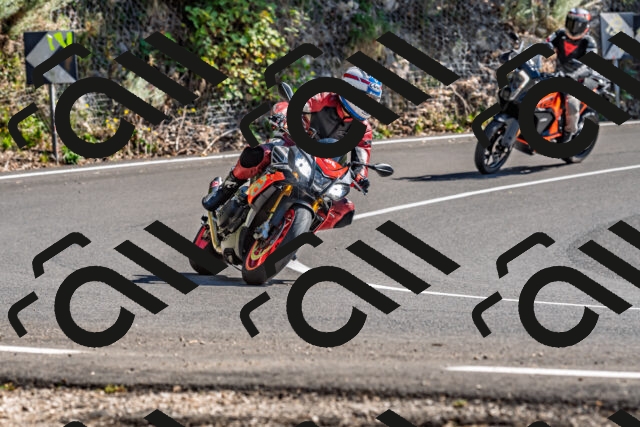 202509201435-DSC_1593_d2_