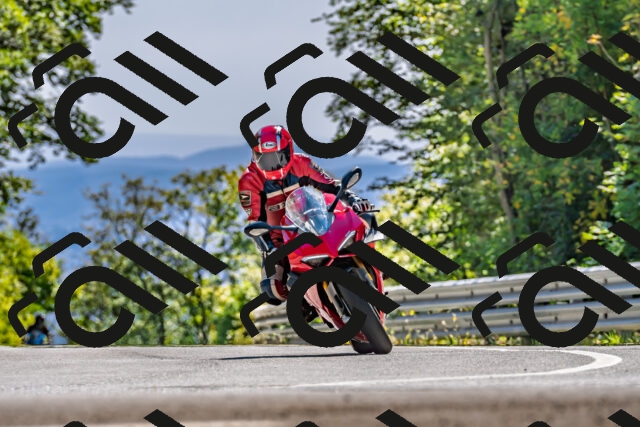 202509201439-DSC_1607_d2_