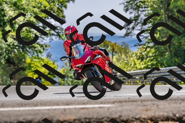 202509201439-DSC_1608_d2_