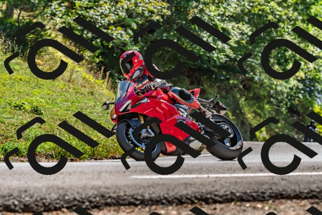 202509201439-DSC_1609_d2_