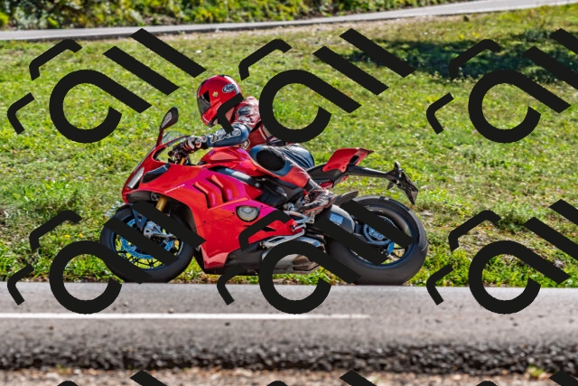 202509201439-DSC_1610_d2_