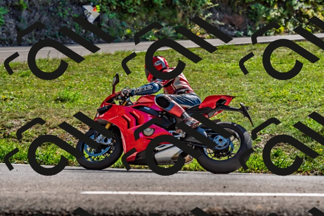 202509201439-DSC_1611_d2_