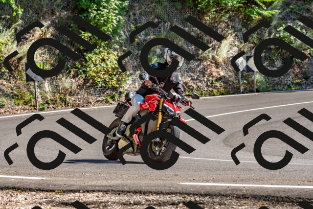 202509201448-DSC_1640_d2_