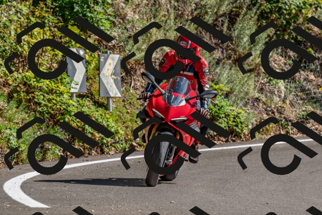 202509201448-DSC_1643_d2_