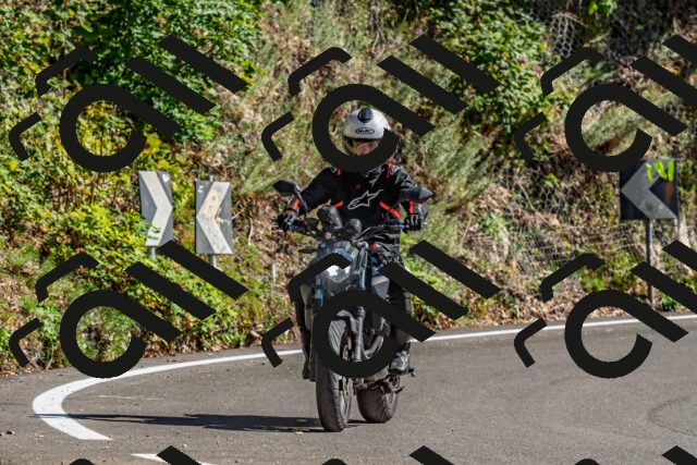 202509201455-DSC_1658_d2_