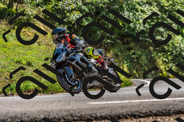 202509201503-DSC_1670_d2_