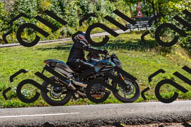 202509201507-DSC_1702_d2_