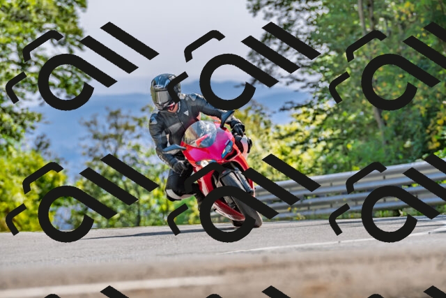 202509201533-DSC_1779_d2_