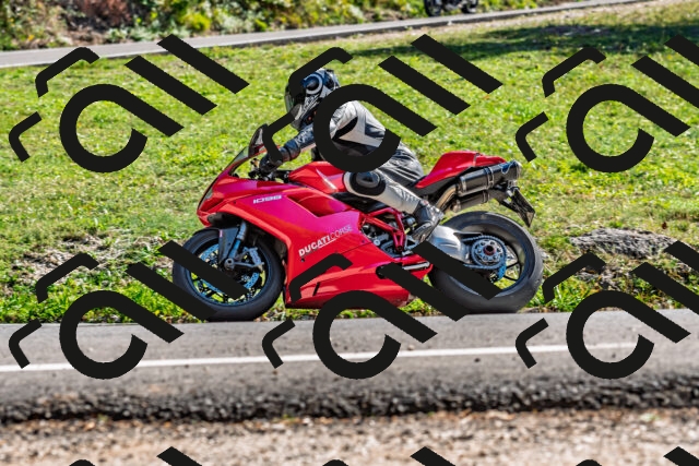 202509201533-DSC_1782_d2_