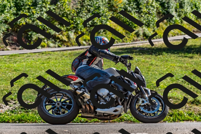 202509201533-DSC_1786_d2_