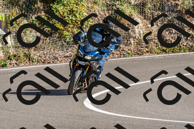 202509201539-DSC_1800_d2_