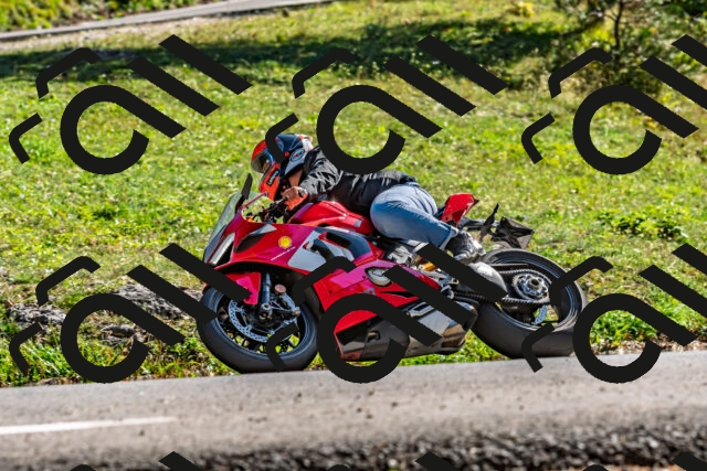 202509201544-DSC_1824_d2_