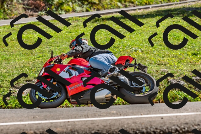 202509201544-DSC_1825_d2_