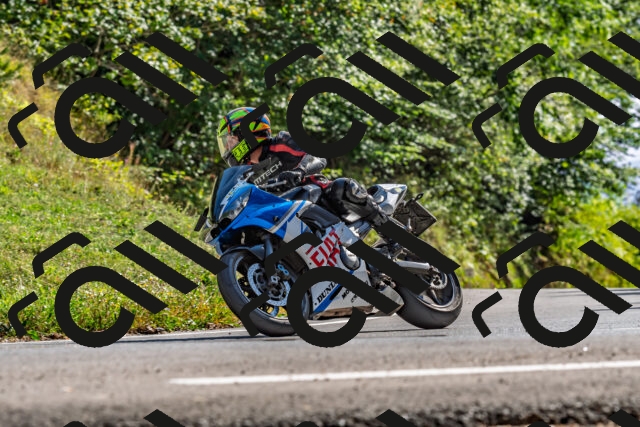 202509201554-DSC_1845_d2_