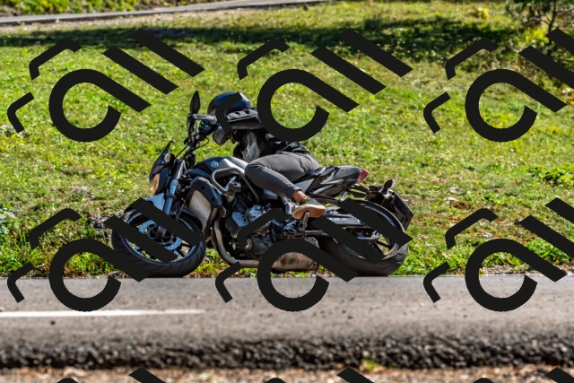 202509201554-DSC_1850_d2_