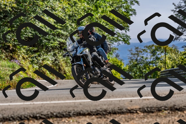 202509201555-DSC_1853_d2_