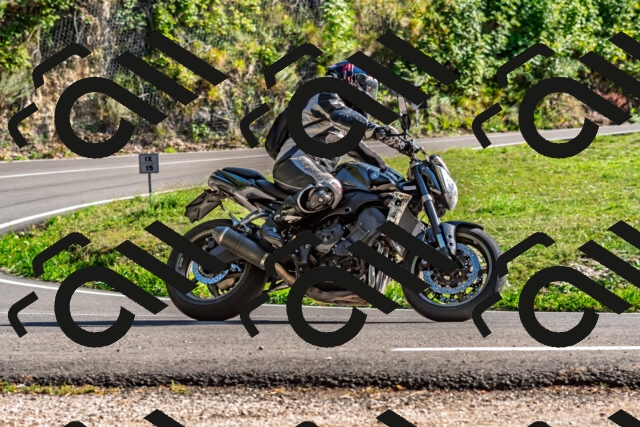 202509201558-DSC_1857_d2_