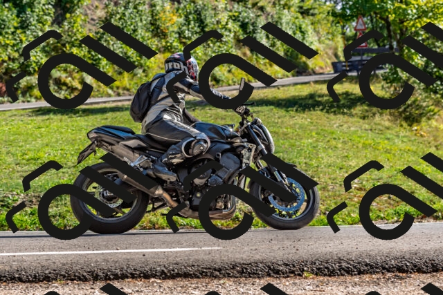 202509201558-DSC_1858_d2_