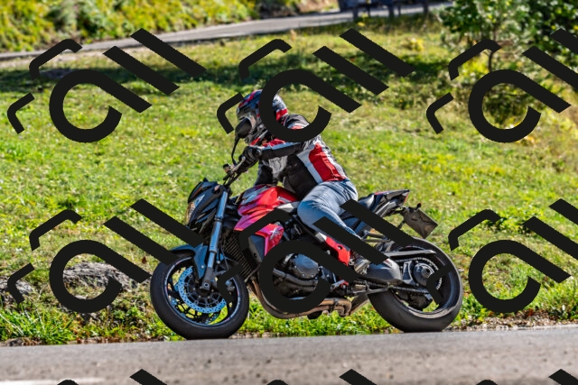 202509201558-DSC_1862_d2_