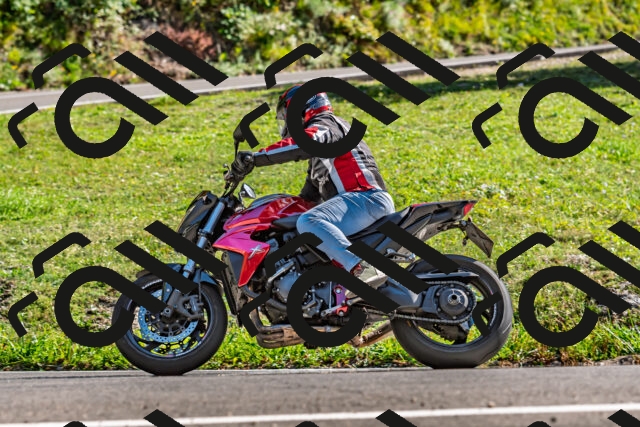 202509201558-DSC_1863_d2_