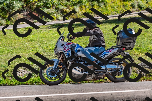 202509201558-DSC_1866_d2_