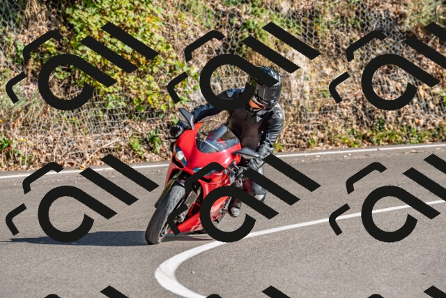 202509201558-DSC_1868_d2_