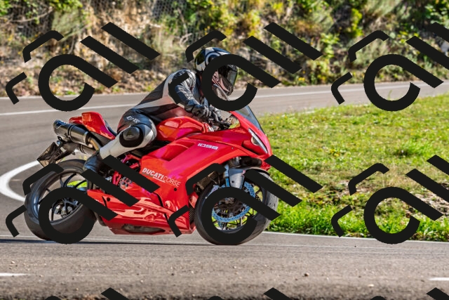 202509201558-DSC_1870_d2_