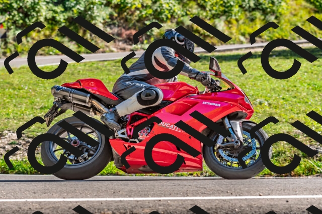 202509201558-DSC_1871_d2_