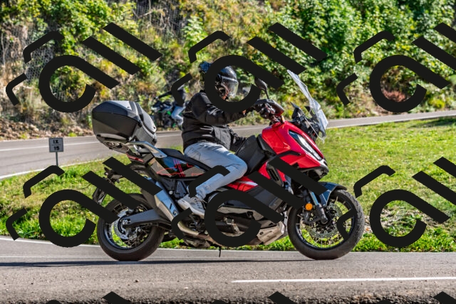 202509201600-DSC_1881_d2_