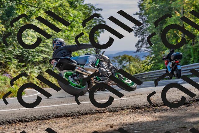 202509201600-DSC_1887_d2_