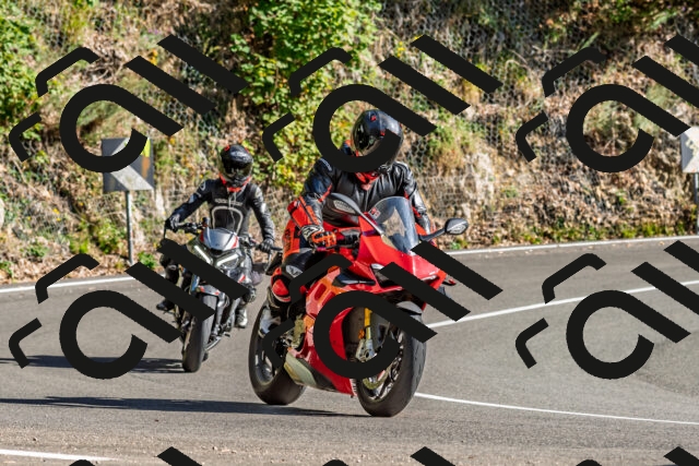 202509201602-DSC_1888_d2_