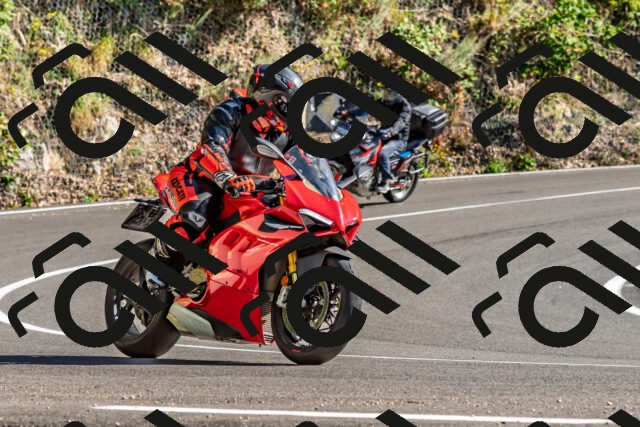 202509201602-DSC_1890_d2_