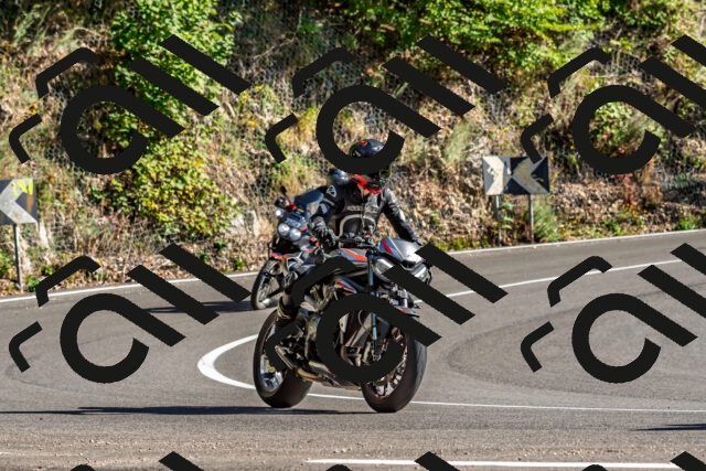 202509201602-DSC_1891_d2_