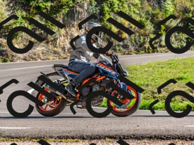 202509201602-DSC_1902_d2_