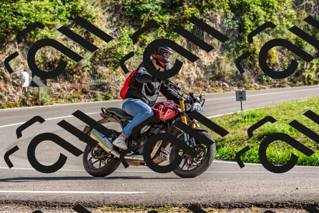 202509201602-DSC_1903_d2_