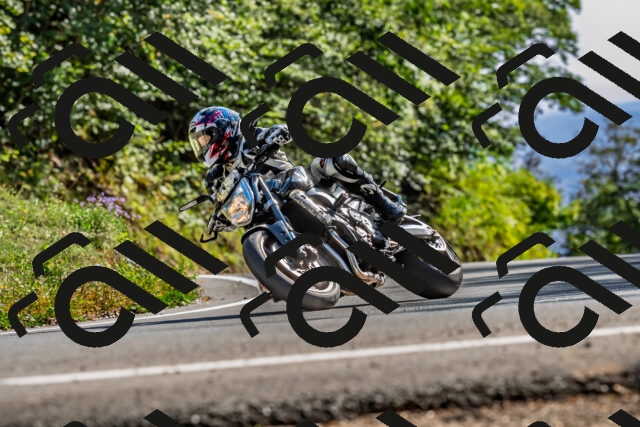 202509201603-DSC_1908_d2_