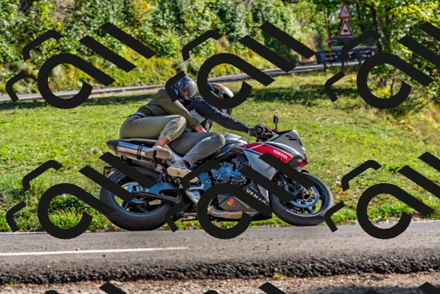 202509201617-DSC_1988_d2_