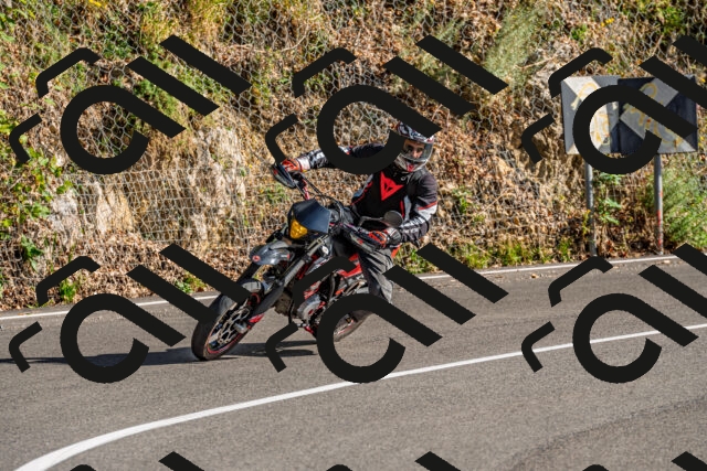 202509201620-DSC_1990_d2_