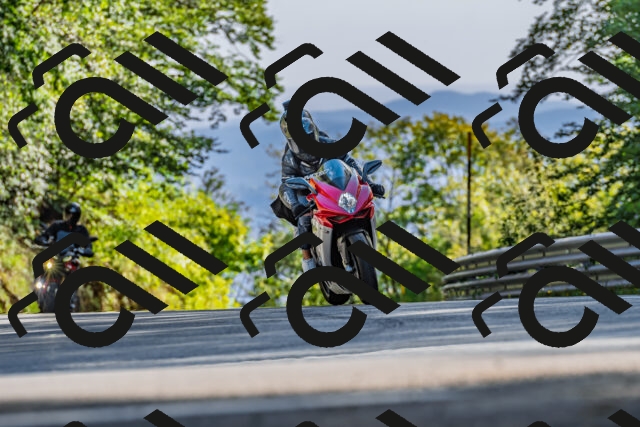 202509201621-DSC_1999_d2_