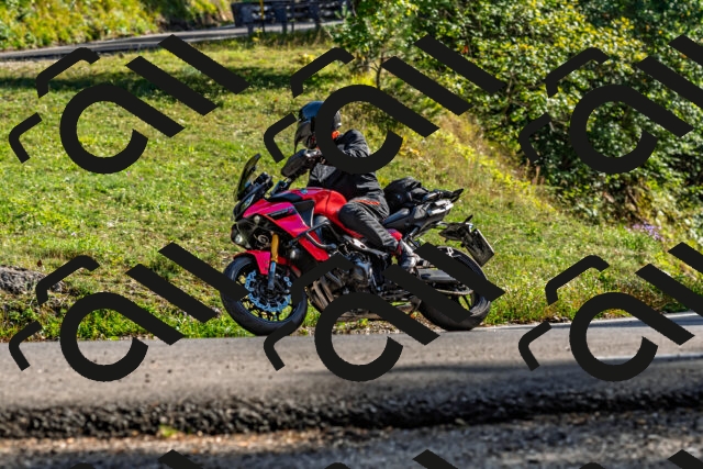 202509201622-DSC_2005_d2_