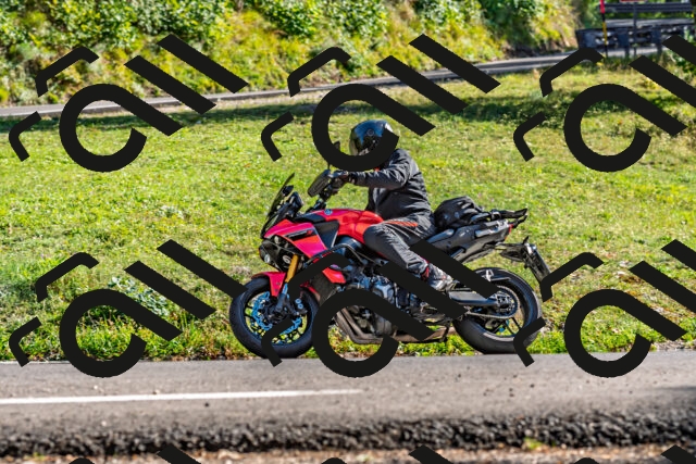 202509201622-DSC_2006_d2_